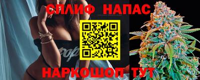 скорость Бердск