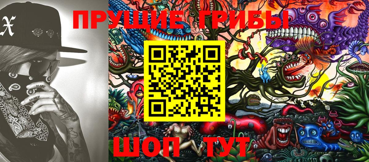 где продают   Псилоцибиновые грибы ЛСД  Вход с VPN  Новокубанск  Псилоцибиновые грибы GOLDEN TEACHER 